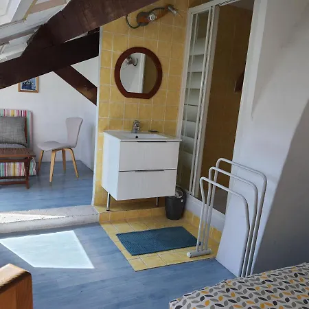 Beau Duplex Lumineux Avec Aperçu Appartement